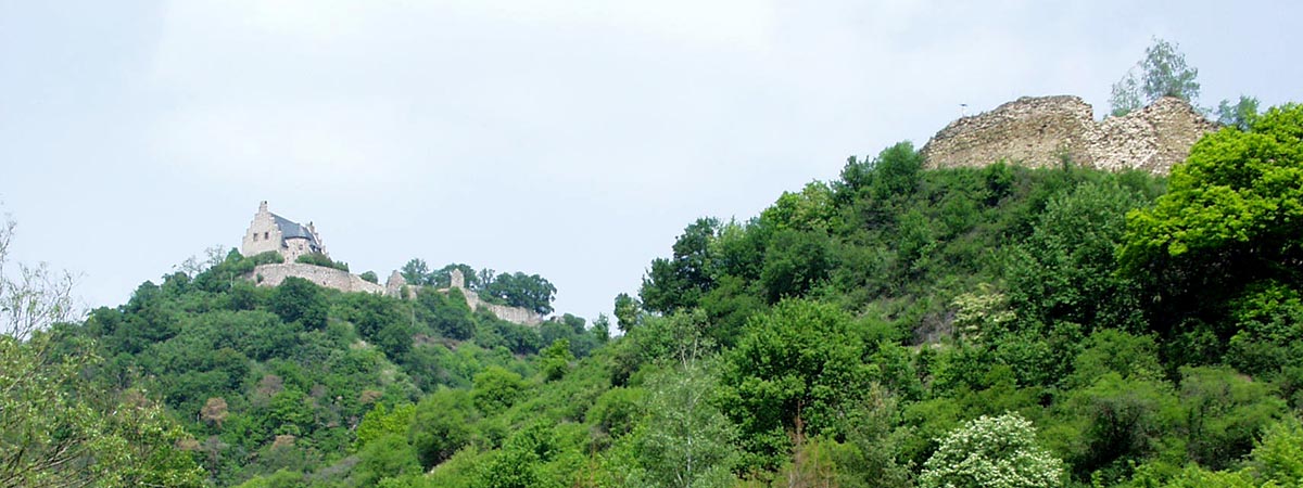 Altenbamberg Hunsrück Altenbaumburg
