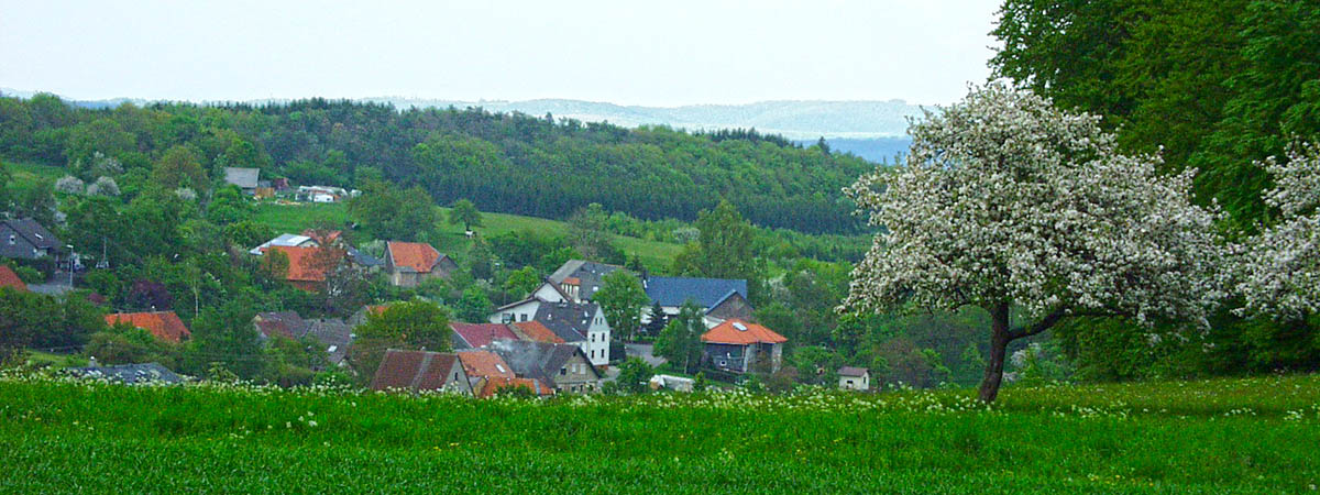  Mettweiler Hunsrück 