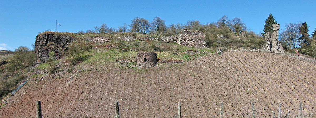 Burg Schlossböckelheim Hunsrück