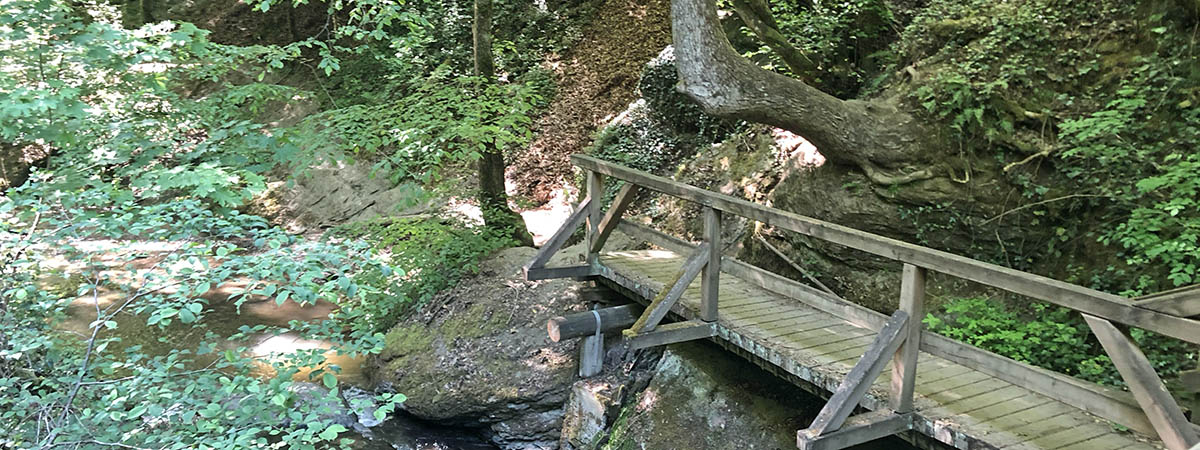 Ehrbachklamm Hunsrück 